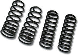 Optional Eibach Spring Package for Camaro/Firebird